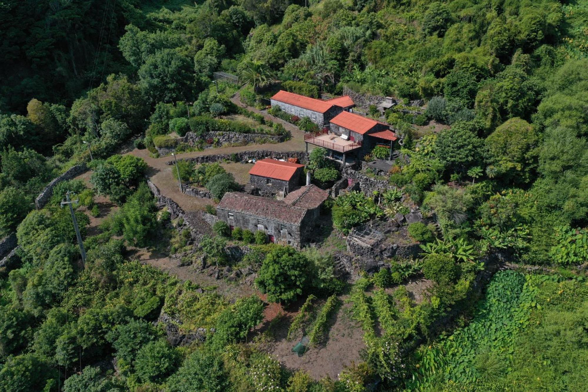 Vistalinda Farmhouse Faja dos Vimes Екстериор снимка